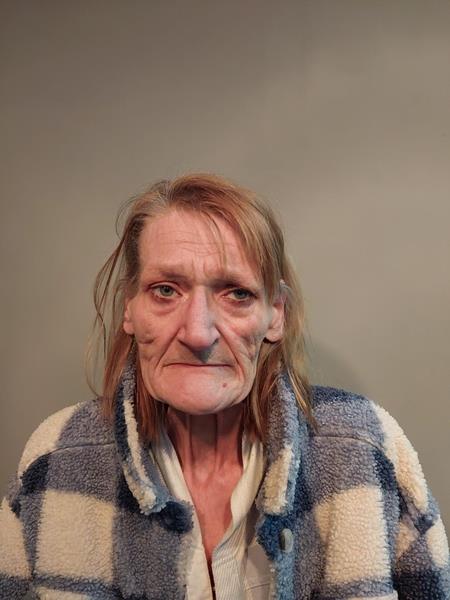 Mugshot of Sherry Dawn Stallard