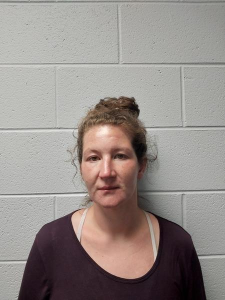 Mugshot of Stephanie Marie True booked in Wise County, Virginia on August 5, 2026
