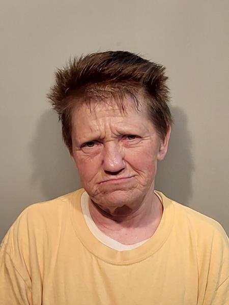 Mugshot of Sherry Ann Trent booked in Wise County, Virginia on May 8, 2026