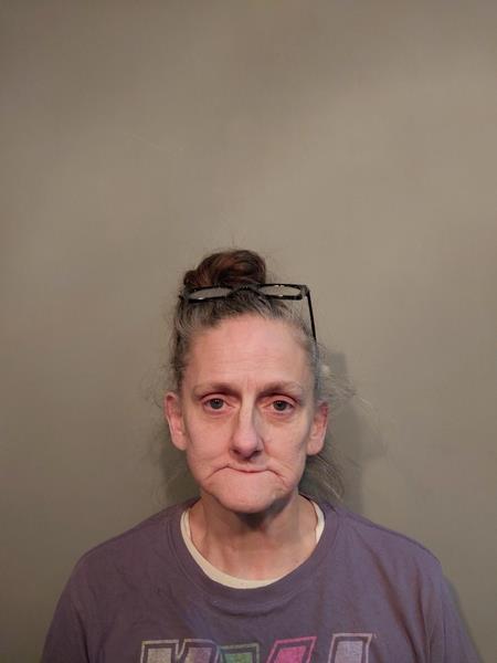 Mugshot of Susan Linette Wooten