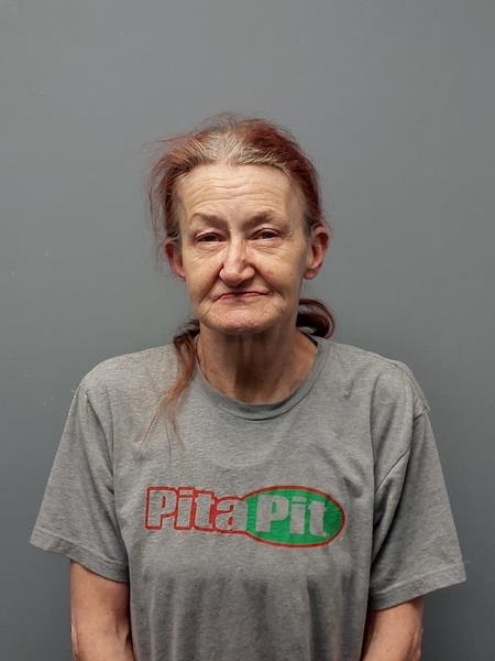 Mugshot of TAMMY MAE MITCHEM booked in Wise County, Virginia on April 16, 2026