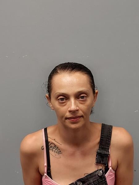 Mugshot of Tiona Marie Rowe booked in Wise County, Virginia on July 28, 2026