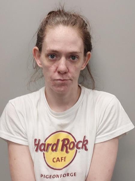 Mugshot of VIRGINIA ANN BOARDWINE