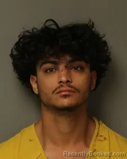Mugshot of Damien Santos Aviles booked in Wythe County, Virginia on October 22, 2026