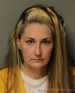 Mugshot of Stephanie Dawn Albert booked in Wythe County, Virginia on September 27, 2026