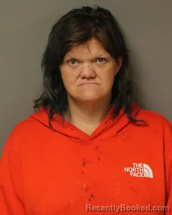 Mugshot of Aleshia Lorene Collins booked in Wythe County, Virginia on October 8, 2026