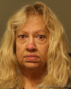 Mugshot of Karen Ann Dickerson booked in Wythe County, Virginia on October 8, 2026