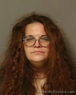 Mugshot of Holly Michelle Mcallister booked in Wythe County, Virginia on September 17, 2026