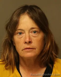 Mugshot of Leslie Michelle Phillips booked in Wythe County, Virginia on October 8, 2026