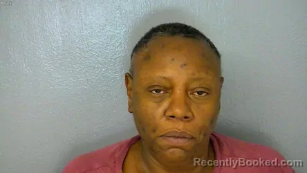 Mugshot of Brenda Lee Oakes booked in York County, Virginia on September 8, 2026