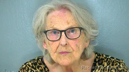 Mugshot of Diane Elizabeth Michaelis booked in York County, Virginia on August 16, 2026