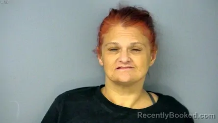 Mugshot of MELANIE DAWN HOLMES