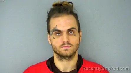 Mugshot of Travis Ryan Smallegan booked in York County, Virginia on August 10, 2026