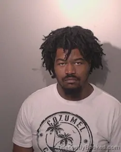 Mugshot of ALEX WAYNE MALVEAUX