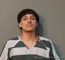 Mugshot of Victor Sabasgonzalez booked in Franklin County, Texas on August 30, 2026