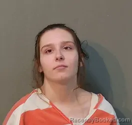 Mugshot of Anna Elizabeth Todd booked in Franklin County, Texas on October 26, 2026