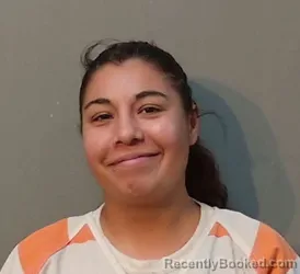 Mugshot of Crystal Marie Salinas booked in Franklin County, Texas on October 29, 2026