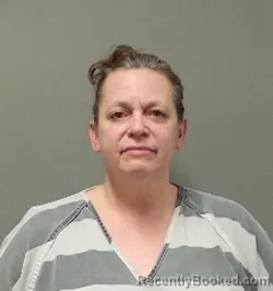 Mugshot of Amy Elizabeth Brison