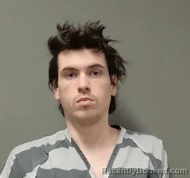 Mugshot of Burl Newton Godwin