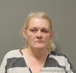 Mugshot of Crystal L Harris