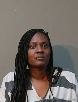 Mugshot of ALEXIS COLLETTE JOHNSON booked in Franklin County, Texas on April 1, 2026