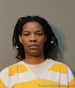 Mugshot of Brethya Charde Johnson booked in Franklin County, Texas on March 27, 2026