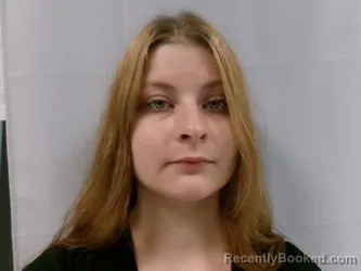 Mugshot of Jonna Grace Tanner booked in Barbour County, West Virginia on June 28, 2026