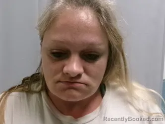 Mugshot of Jennifer Lerae Elswick booked in Barbour County, West Virginia on August 12, 2026