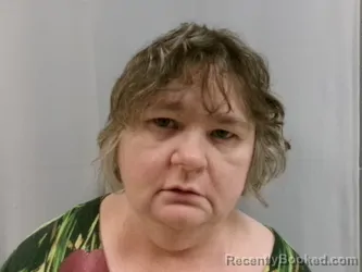 Mugshot of Sandra Ellen Higgins booked in Barbour County, West Virginia on March 27, 2026