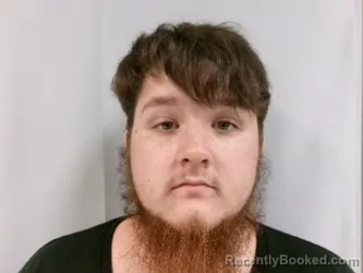 Mugshot of Tyler Scott Stout booked in Barbour County, West Virginia on July 13, 2026