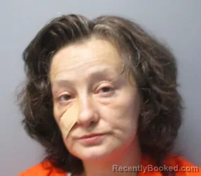 Mugshot of April Lynn Mcdaniel booked in Berkeley County, West Virginia on June 30, 2026