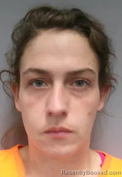 Mugshot of Brittany Nicole Long