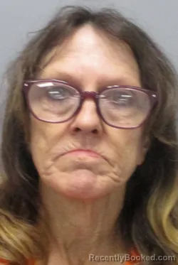 Mugshot of Dawn Marie Sikes booked in Berkeley County, West Virginia on June 8, 2026