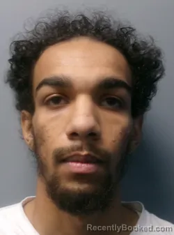 Mugshot of Deonte Nasean Robinson