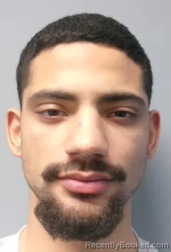 Mugshot of David Owen Silver