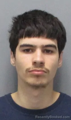 Mugshot of Ethan Lobo Mitchell