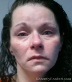 Mugshot of Ginger Lynn Suddith