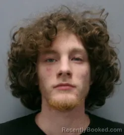 Mugshot of Gavin Ralston Weister