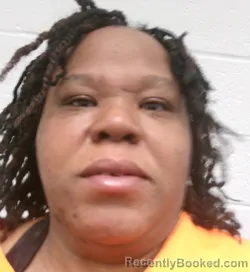 Mugshot of Jeanisse Audrett Estes