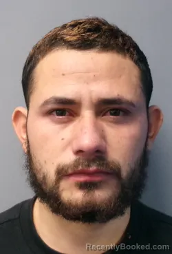 Mugshot of Jose Franklin Hernandez-Sibrian