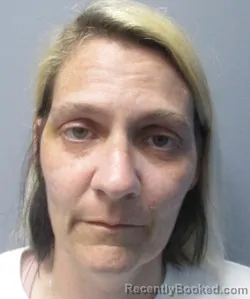 Mugshot of Janice Marie Settle booked in Berkeley County, West Virginia on July 4, 2026