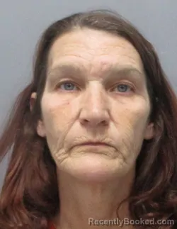 Mugshot of Kimberly Dawn Fellers booked in Berkeley County, West Virginia on April 3, 2026