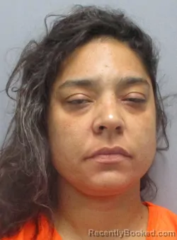 Mugshot of Laureen Jessica Nicole Johnson booked in Berkeley County, West Virginia on September 11, 2026