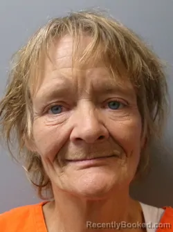 Mugshot of Lisa Jo Snow