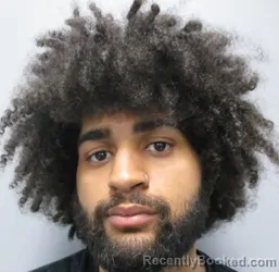 Mugshot of Maleik Dinale Lee booked in Berkeley County, West Virginia on March 22, 2026