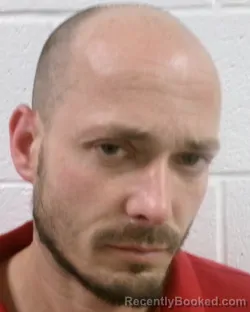 Mugshot of Mickey Lee Mankins