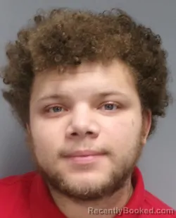 Mugshot of Nick Swan