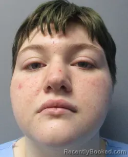 Booking photo from Berkeley County, West Virginia