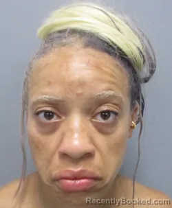 Mugshot of Shannelle Alexis Chanae Grimes booked in Berkeley County, West Virginia on August 4, 2026