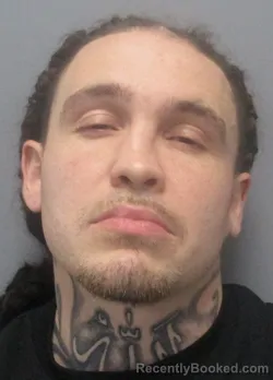 Mugshot of Sean Christopher Harmon booked in Berkeley County, West Virginia on July 11, 2026